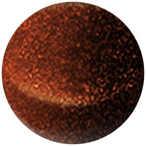Luxury Brown