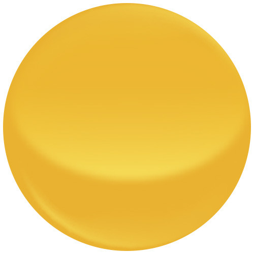 Yellow Sole