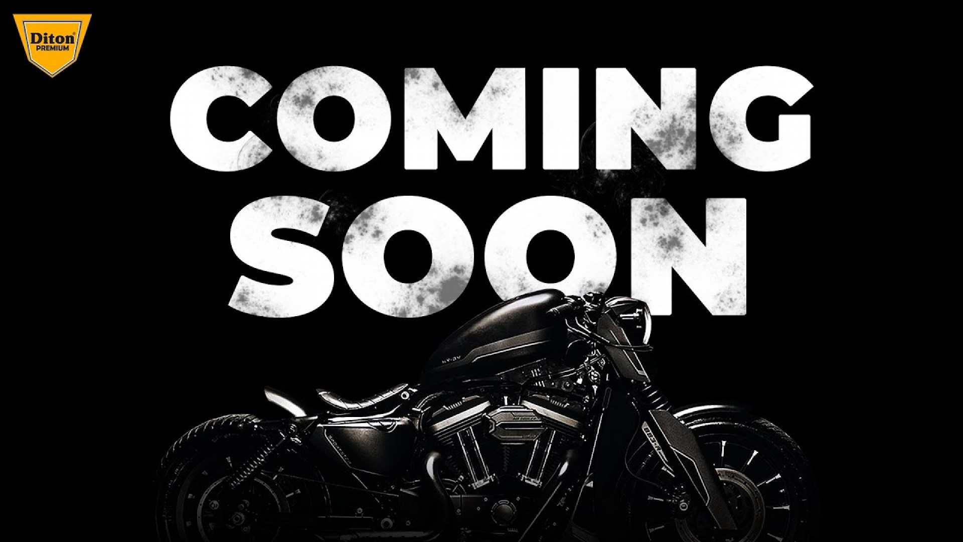 COMING SOON - INTERNATIONAL COLORS | DITON PREMIUM